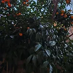 Bed & Breakfast Casavostra 2 Rome